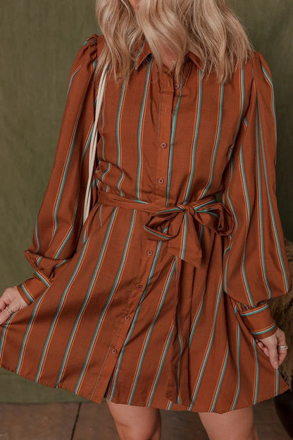 ComfortCinch™ Puff Sleeve Shirt Dress