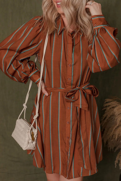 ComfortCinch™ Puff Sleeve Shirt Dress